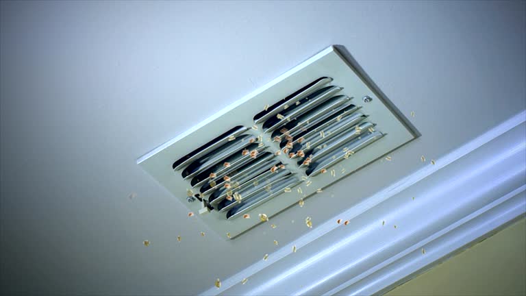 Best Commercial Air Duct Cleaning  in Parker City, IN